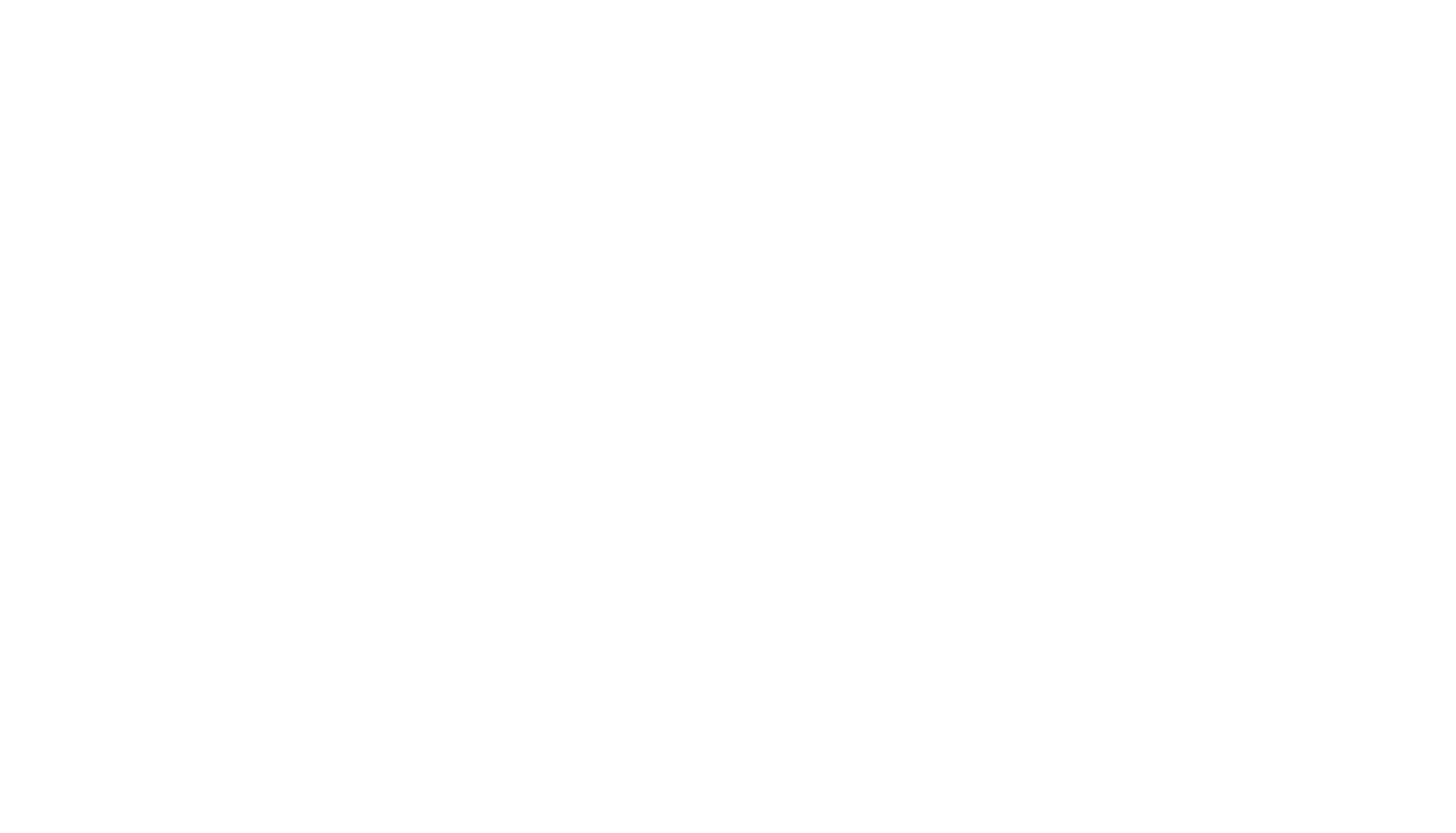 BNB GROOM SERVICES & BNB INVEST