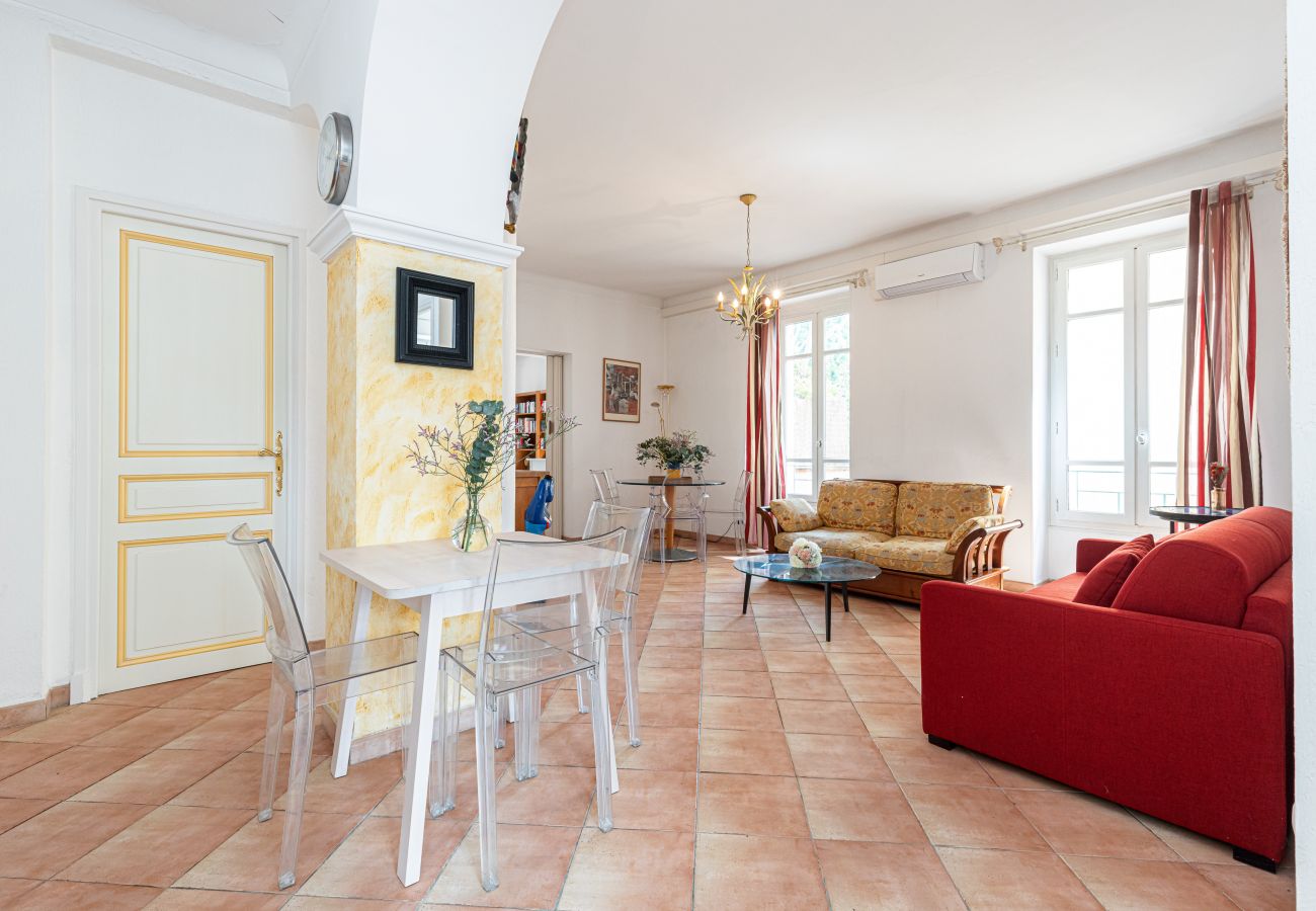 Apartment in Nice - Large 2 Bdr Downtown - AC & Terrace